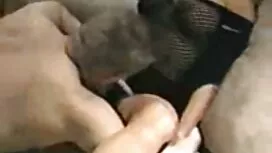 Attraktive Lesben ko ...