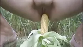 Lecken Vaginas porno ...