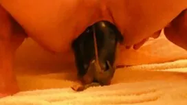 Porno Video kostenlo ...